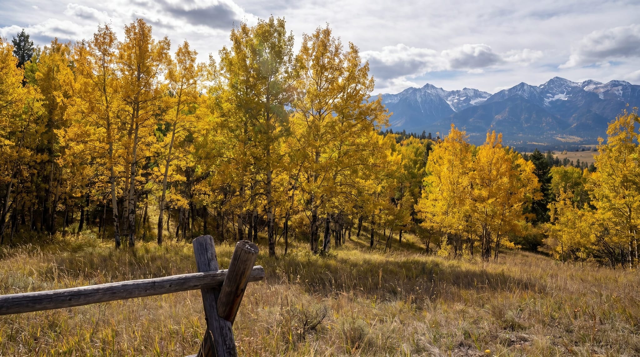 Rattlesnake, Montana — High above town